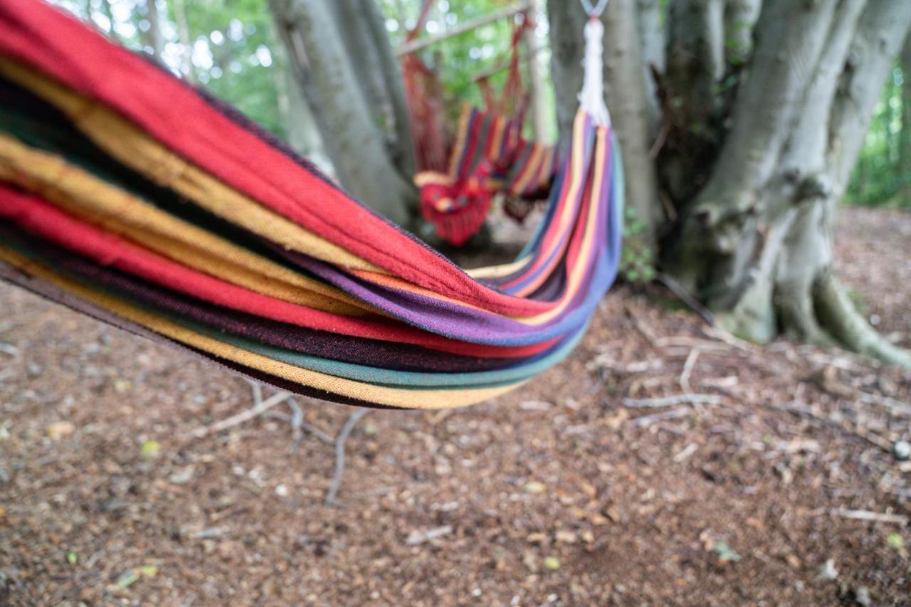 Gite Calypso De 14 Personnes Fecamp Etretat Colleville Luaran gambar
